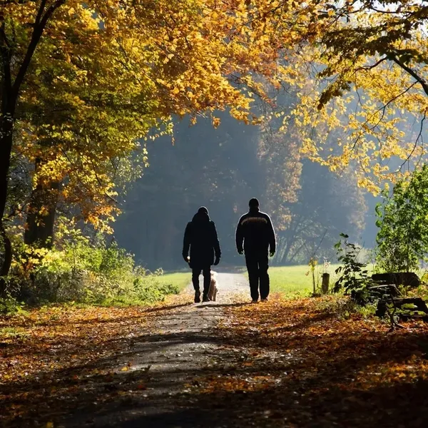 Mentoring and Recovery Coaching